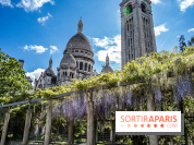 Ou voir les plus belles glycines de Paris, les spots incontournables et cachés - square Marcel Bleustein Blanchet