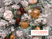 Ce Marché de Noël en Essonne promet chocolat chaud et passage du Père Noël avec ses rennes