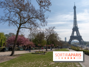 Les cerisiers du Trocadéro fleurissent avec de l'avance en ce printemps 2026