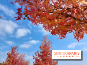 Que faire ce week-end à Paris et en Île-de-France, les 17, 18 et 19 octobre 2025 