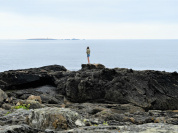 Bretagne : évolution quotidienne de la situation sanitaire dans la région