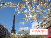Visuel Paris, Tour Eiffel printemps