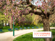 Visuel Paris arbres en fleurs, jardins, parc