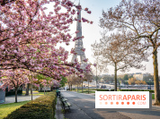 Visuel Paris Tour Eiffel cerisiers en fleurs