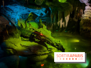 Visuels Disneyland Paris - dragon