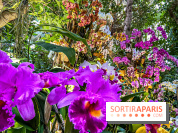 Exposition Mille et une Orchidées 2020 au Jardin des Plantes - les photos