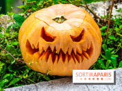 Halloween 2020 : comment creuser sa citrouille ? Le tuto