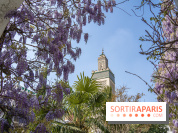 La Mosquée de Paris et son jardin en fleurs
