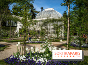 Les jardins du Musée Albert Kahn, nos photos 