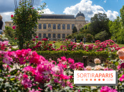 Photos La roseraie du Jardin des Plantes