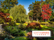 Le Jardin japonais du Château de Courances