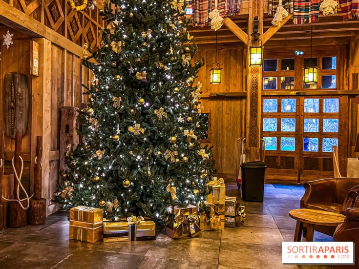 Noël Paris visuels - sapin de noël