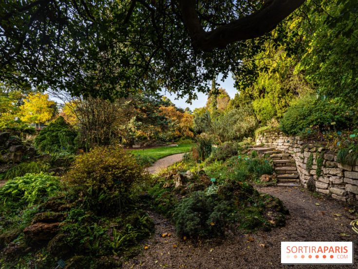 Le Jardin Alpin caché du Jardin des Plantes