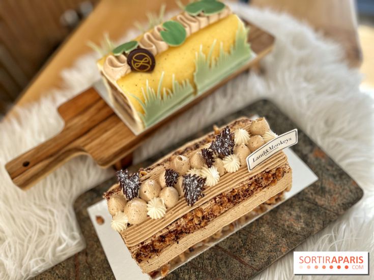 Bûches de Noël végétales des maisons Landemaine et Land&Monkeys