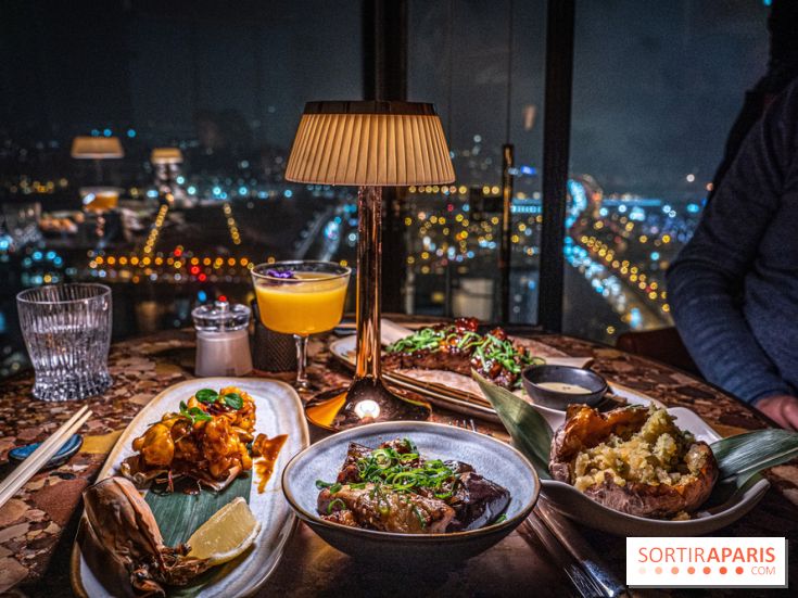 Too Restaurant - Too hôtel Paris - photos - menu - plat - vue