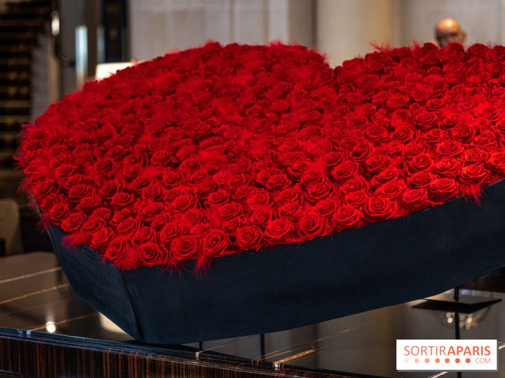 Saint-Valentin visuel saint Valentin  -  A7C2620