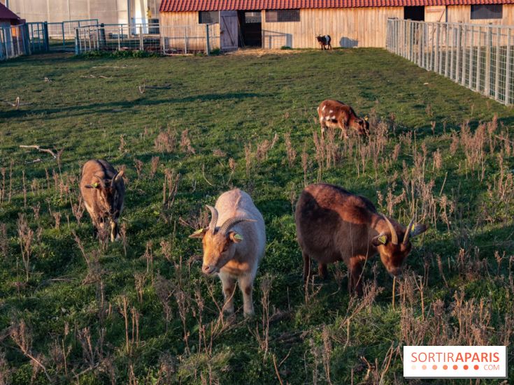 Fermes de Gally - Saint Denis - ED9AAD72 02C7 4C56 B502 2B079F42EDDF