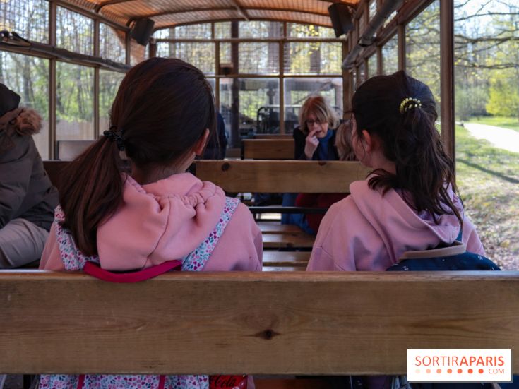 Zoo de Thoiry 2023 - Visuel enfant