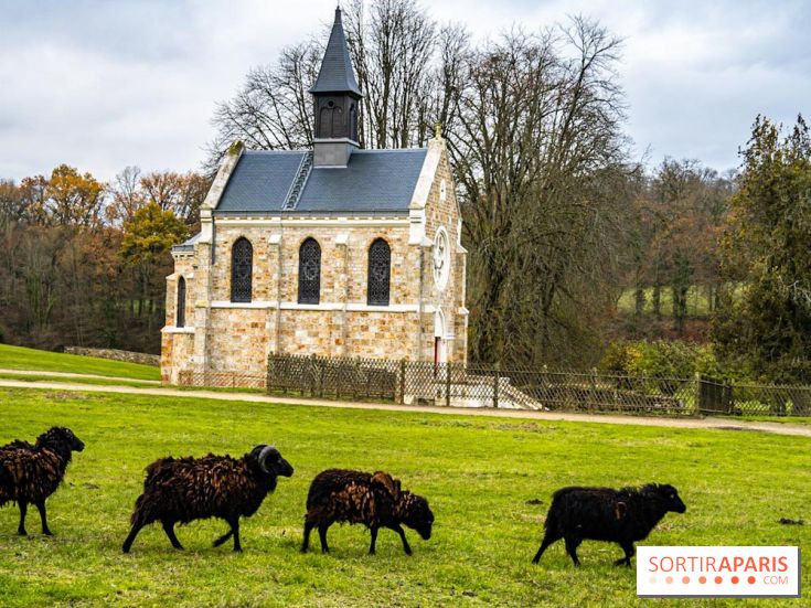 Domaine National de Port-Royal des Champs dans les Yvelines -  A7C3207