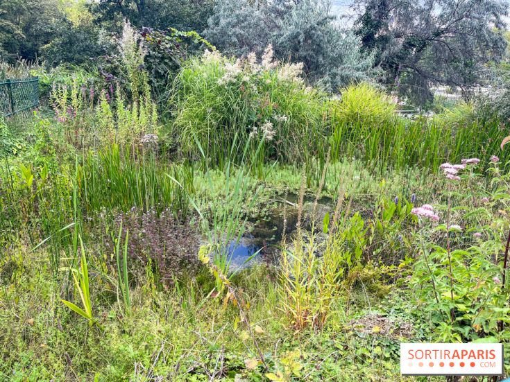 Le parc Georges Brassens, pour se croire à la campagne dans le 15e