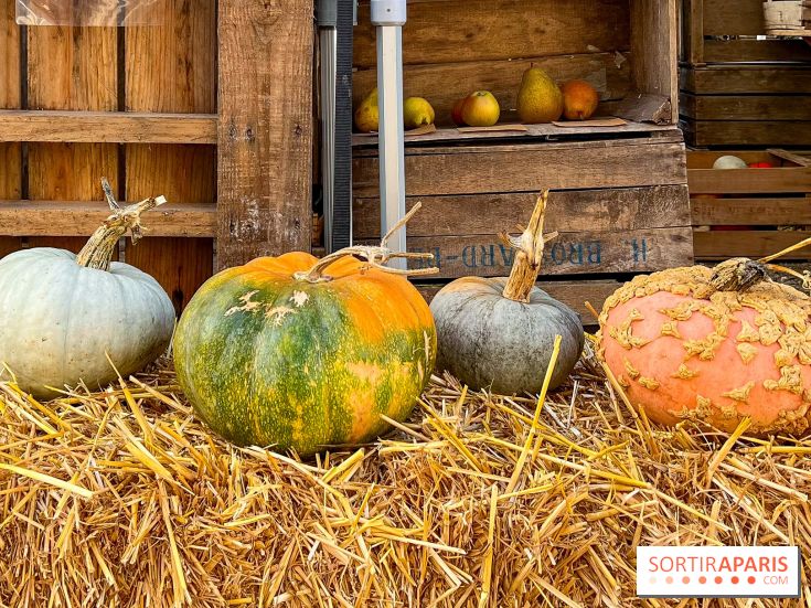 Automne au Potager du Roi - Citrouilles - Halloween