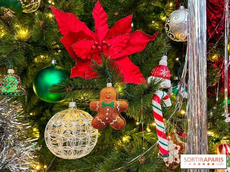 Les vitrines et décors de Noël 2023 du Bon Marché Rive Gauche - image00076