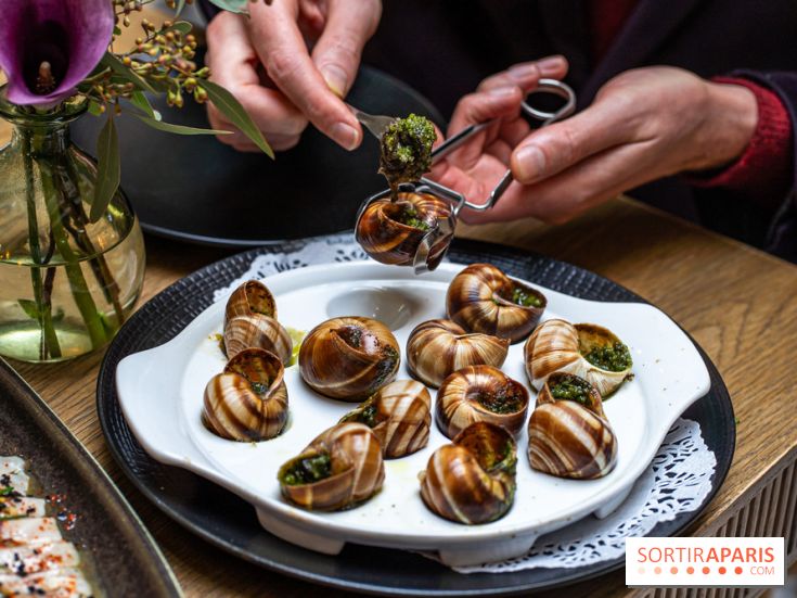 Les Chouettes restaurant  -  escargots