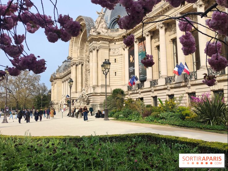 Visuel Paris 8e - Petit Palais printemps cerisiers fleurs 