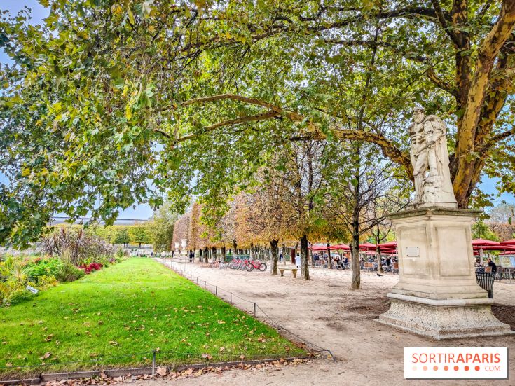 Visuel Paris 1er - jardin des Tuileries automne