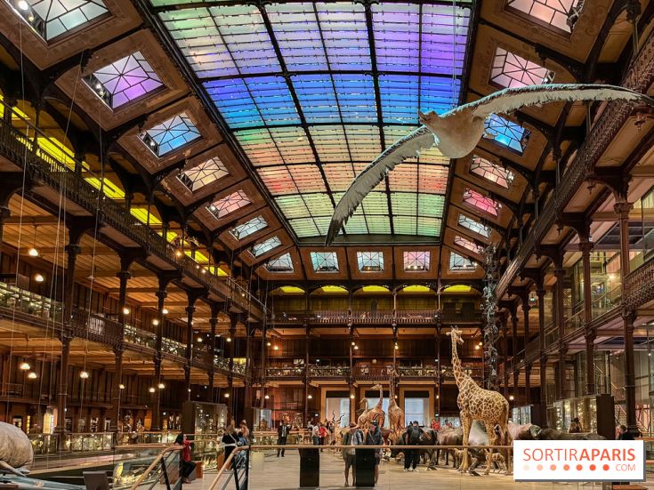 Grande Galerie de l'évolution- visuels 2024
