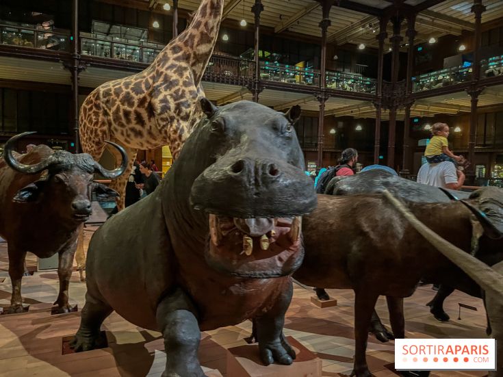 Grande Galerie de l'évolution- visuels 2024