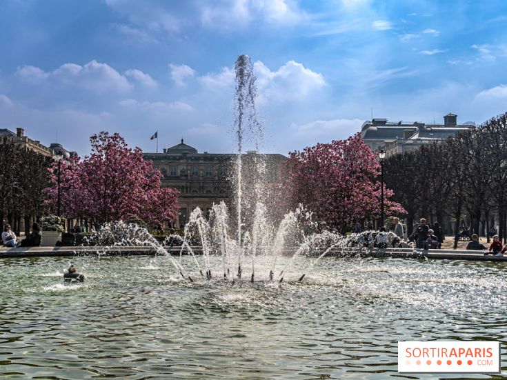 Les magnolias du Jardin du Palais Royal  - printemps - visuel Paris - fontaine - chaleur - beau temps