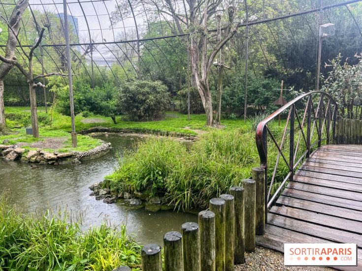 Ménagerie du Jardin des Plantes 2024 - nos photos - image00008