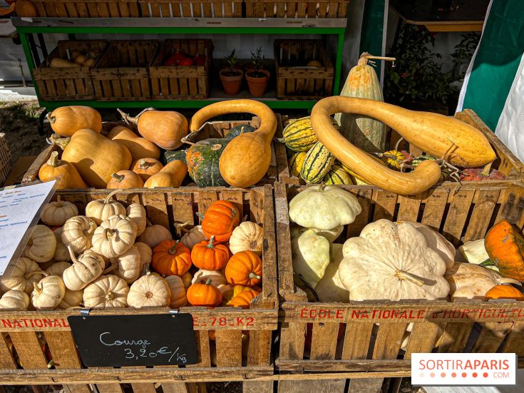 Les Saveurs du Potager du Roi à Versailles : marché de fruits & légumes, expositions et animations