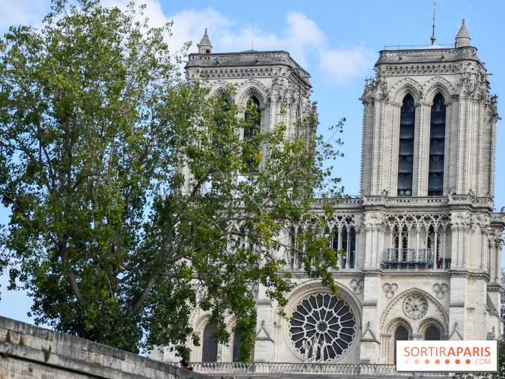 Une croisière privée en amoureux sur la Seine - DSC 2252