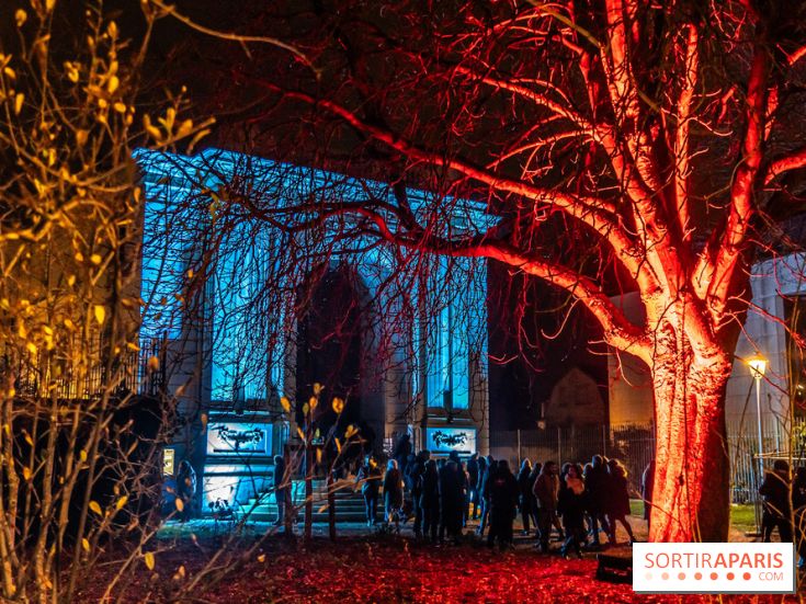 Lueurs de Mantes 2024, le parcours lumineux dans les Yvelines - photos -  A7C9245