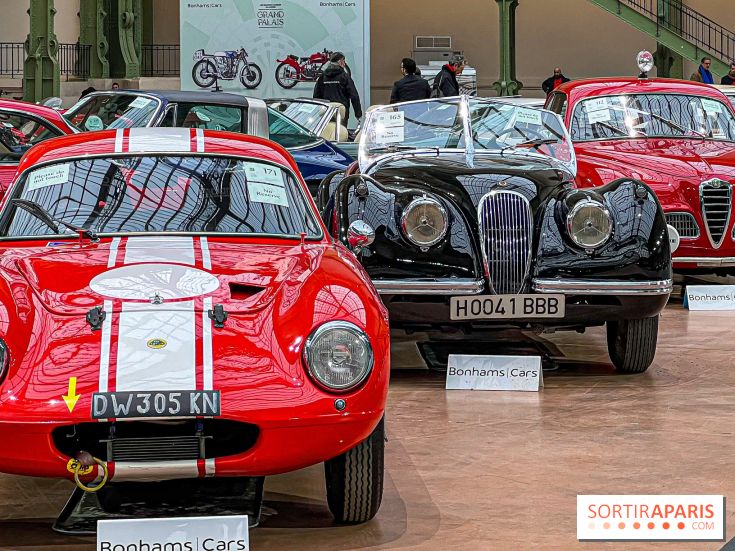 Bonhams I Cars au Grand Palais : exposition de voitures d'exception
