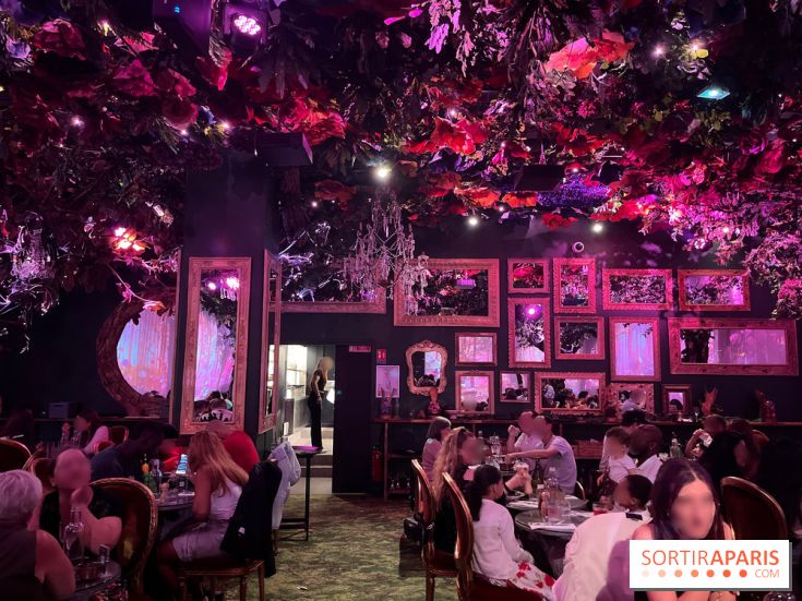 Wonderwoods - IMG 3816