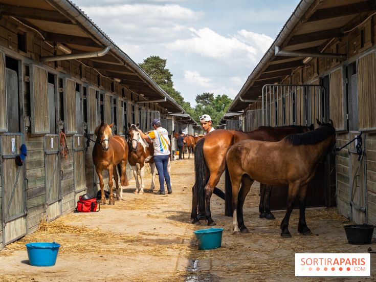 Le Grand Parquet Fontainebleau - photos  - A7C02567