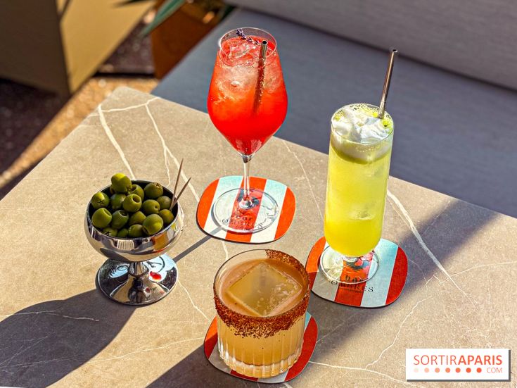 Bar Les Ombres : cocktails & tapas sur le rooftop du Musée du Quai Branly avec vue sur la tour Eiffel