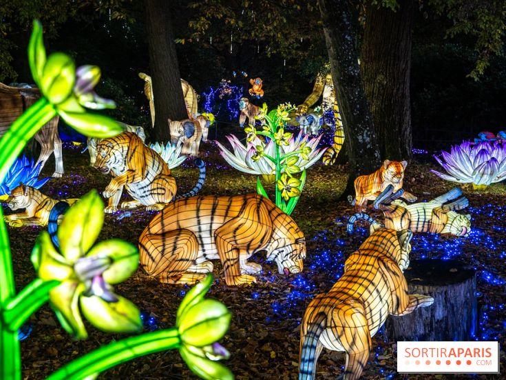 Thoiry Lumières Sauvages 2025 : le Bal des Esprits - A7C09485