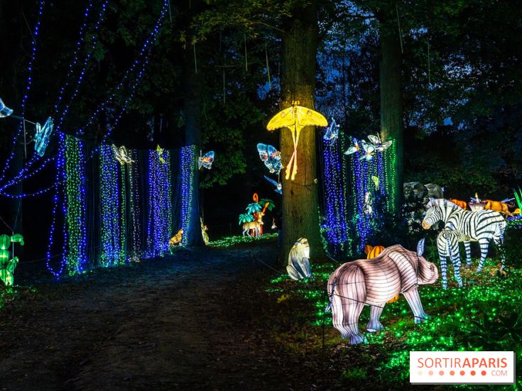 Thoiry Lumières Sauvages 2025 : le Bal des Esprits - A7C09500