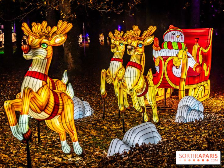 L'Odyssée Lumineuse au Parc Floral 2025, les photos - A7C01845