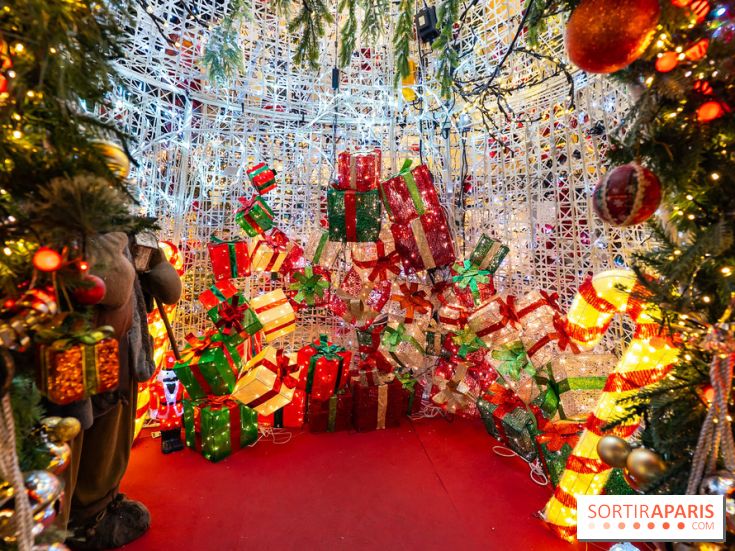 Ce passionné en Essonne transforme son jardin en Village de Noël à visiter gratuitement