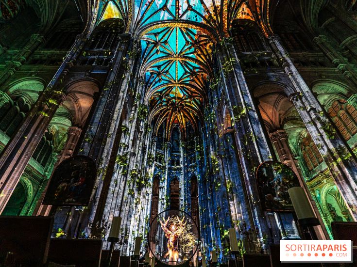 L'Odyssée Céleste à l'église Saint-Eustache à Paris, le nouveau spectacle Luminiscence 