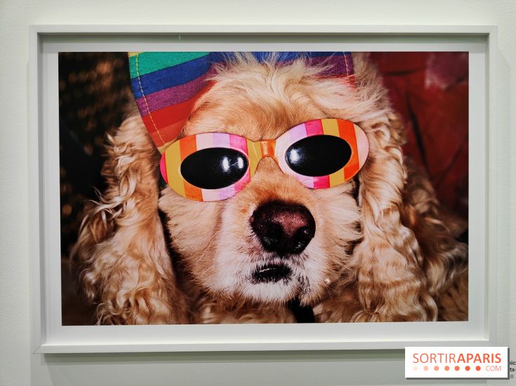 Global Warning : le photographe Martin Parr à l'honneur dans une exposition au Jeu de Paume - fotor 1769689947675