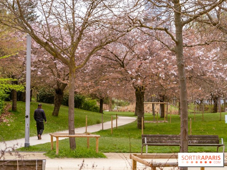 Les cerisiers du parc Martin Luther King - Clichy - Batignoles