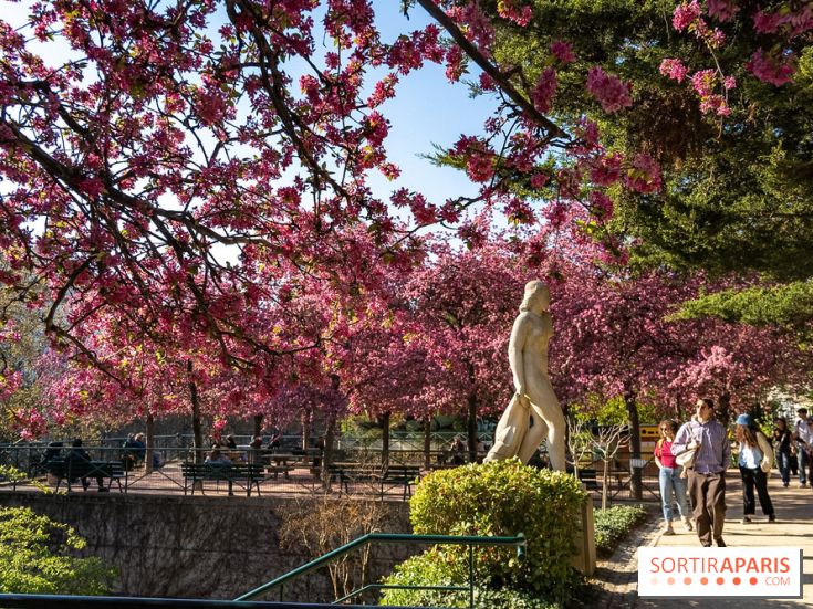Les pommiers et cerisiers en fleurs du Jardin de Reuilly, Parc de Reuilly à Paris 12e - photos