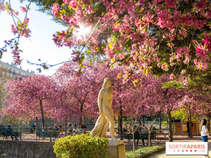 Les pommiers et cerisiers en fleurs du Jardin de Reuilly, Parc de Reuilly à Paris 12e - photos  - visuel