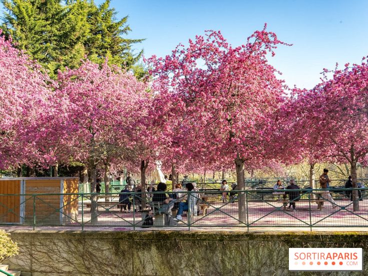 Les pommiers et cerisiers en fleurs du Jardin de Reuilly, Parc de Reuilly à Paris 12e - photos  - table pique nique 